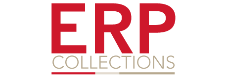 Sistema de Casos ERP